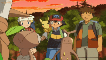 Assistir Pokémon Dublado Episódio 483 - Deixa Com o Brock!