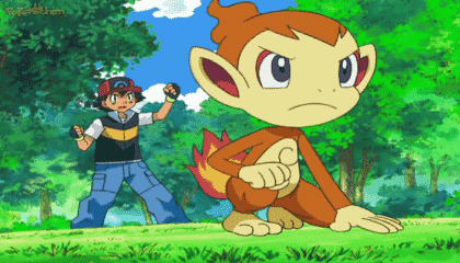 Assistir Pokémon Dublado Episódio 522 - Lagrimas de Chimchar!