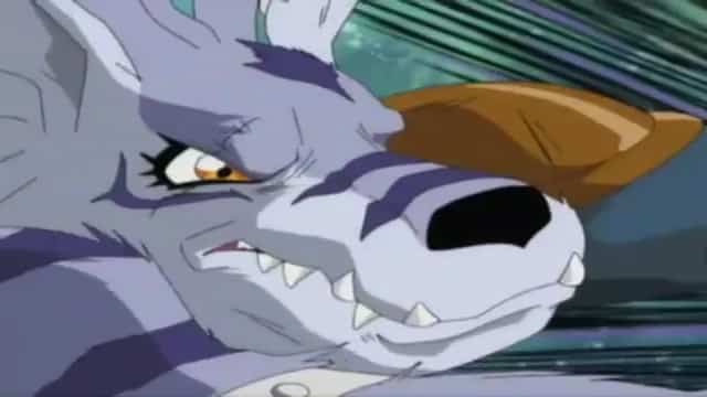 Assistir Digimon Adventure Dublado Episódio 26 - Garudamon, A Perfeição De BirDramon