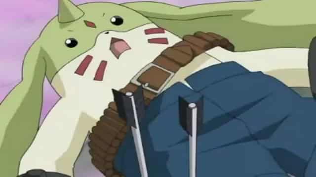 Assistir Digimon Tamers Dublado Episódio 19 - O orgulho de Impimon