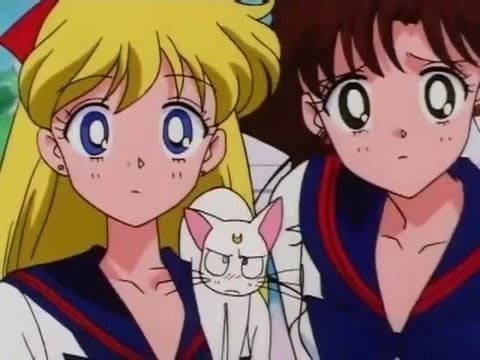 Assistir Sailor Moon: Sailor Stars Dublado Episódio 12 - A verdadeira personalidade de Yaten