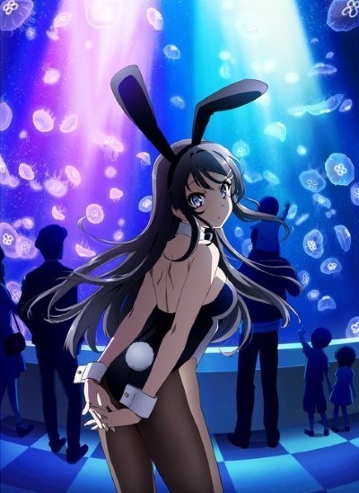 Assistir Seishun Buta Yarou wa Bunny Girl Senpai no Yume o Minai  Todos os Episódios  Online Completo