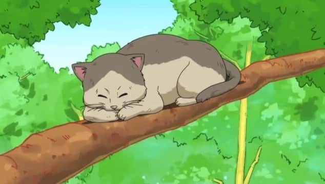 Assistir Teekyuu  Episódio 52 - O Reino Dos Gatos Com As Senpai