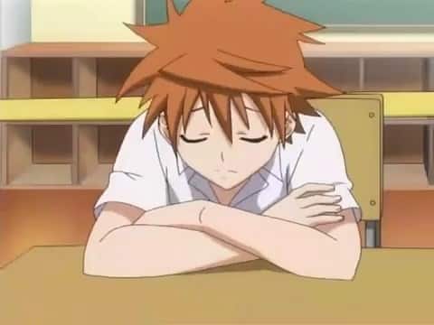 Assistir To Love-Ru  Episódio 8 - A boa e inocente representante de classe!