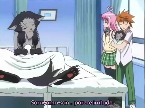 Assistir To Love-Ru  Episódio 18 - Suruyama