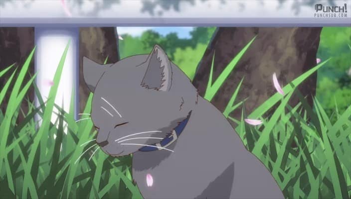 Assistir Yama No Susume  Episódio 13 - 3° Terceira temporada