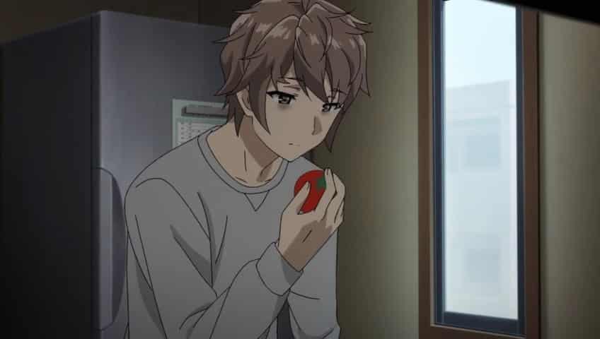 Assistir Seishun Buta Yarou wa Bunny Girl Senpai no Yume o Minai  Episódio 13 - 13