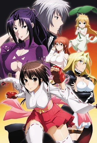 Assistir Sekirei: Pure Engagement 2° Temporada Todos os Episódios  Online Completo