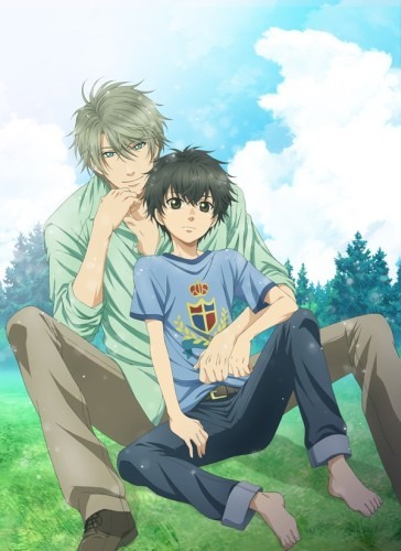 Assistir Super Lovers  Todos os Episódios  Online Completo