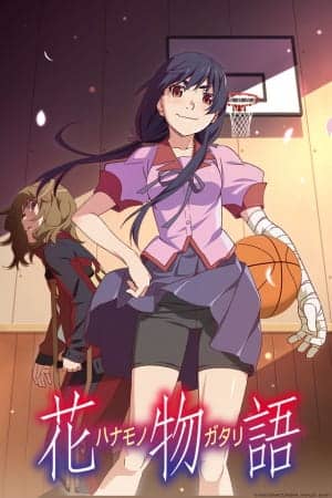 Assistir Hanamonogatari  Todos os Episódios  Online Completo