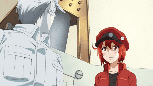 Hataraku Saibou (TV) Online - Assistir anime completo dublado e