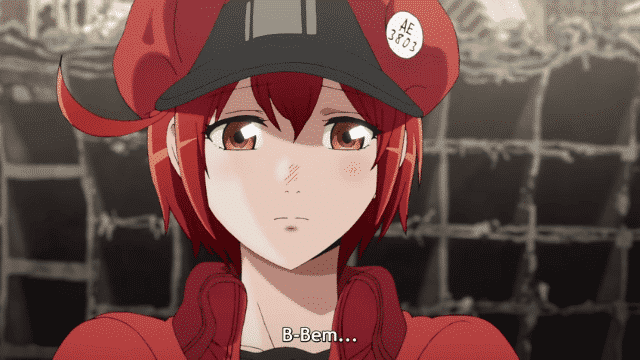 Assistir Hataraku Saibou  Episódio 12 - Choque Hemorrágico (Parte 1)