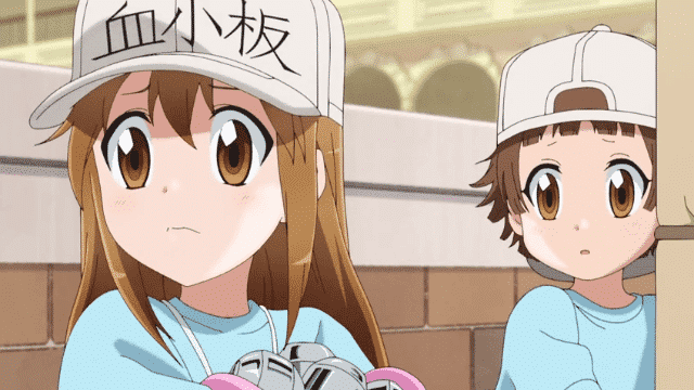 Assistir Hataraku Saibou  Episódio 13 - Choque Hemorrágico (Parte 2)