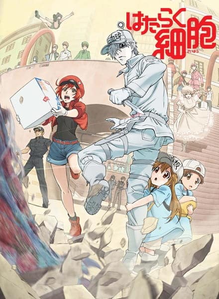 Assistir Hataraku Saibou  Todos os Episódios  Online Completo