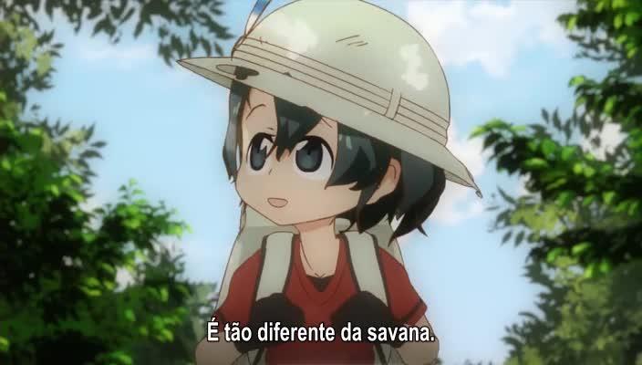 Assistir Kemono Friends  Episódio 2 - Área da Selva