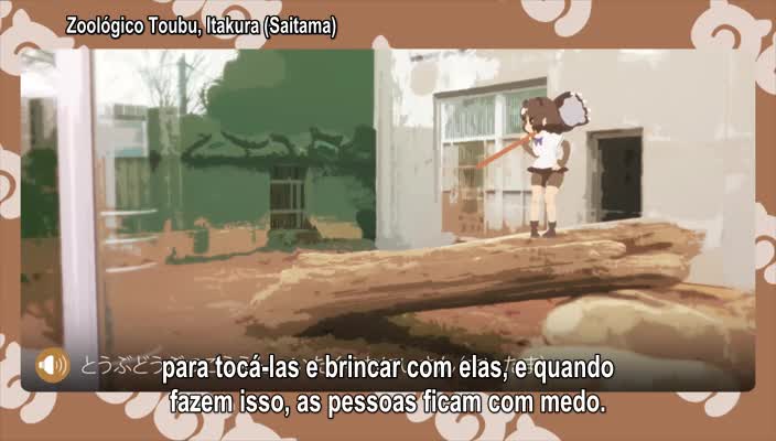 Assistir Kemono Friends  Episódio 11 - Cerúleo