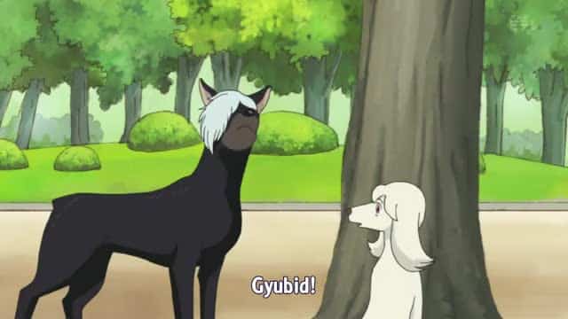 Assistir Kuromajo-san ga Tooru!!  Episódio 22 - Bruxa Preto Ms. como um cão