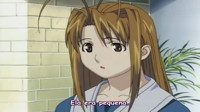 Assistir Love Hina  Episódio 24 - Comemore! são o u de tóquio Flores Florescendo? Amor? Toda a Gente