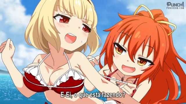 Assistir Nora to Oujo to Noraneko Heart  Episódio 11 - 11