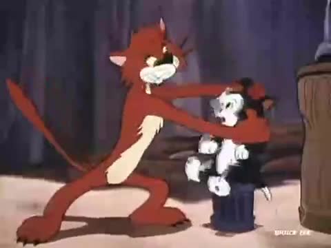 Assistir As Aventuras De Mickey e Donald Dublado Desenho 17 - Gatinho Perfumado