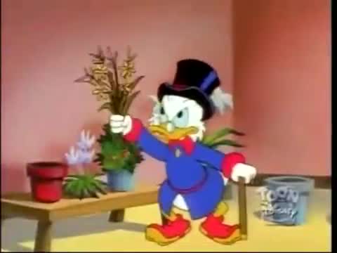 Assistir Ducktales – Os Caçadores de Aventuras Dublado Desenho 89 - 89