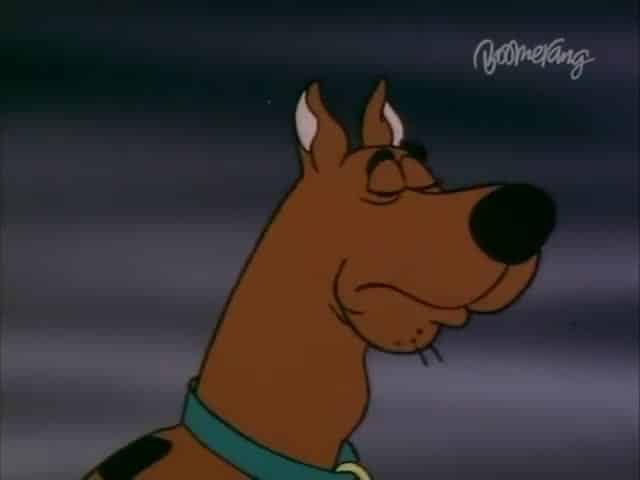 Assistir O Show do Scooby Doo! Dublado Desenho 21 - 21