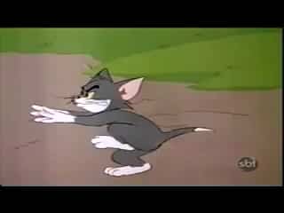 Assistir Tom e Jerry Dublado Desenho 14 - Escola Para Gatos