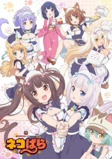 Assistir Nekopara  Todos os Episódios  Online Completo