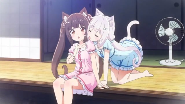 Assistir Nekopara  Episódio 8 - ep