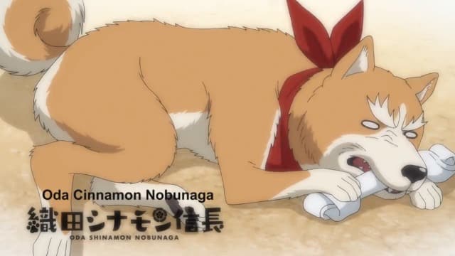 Assistir Oda Cinnamon Nobunaga  Episódio 11 - ep