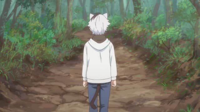 Assistir Uchi Tama?! Uchi No Tama Shirimasen Ka?  Episódio 11 - ep