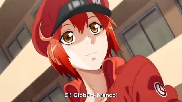 Hataraku Saibou (TV) Online - Assistir anime completo dublado e