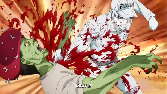 Assistir Hataraku Saibou!! 2 Episódio 2 Legendado (HD) - Meus Animes Online