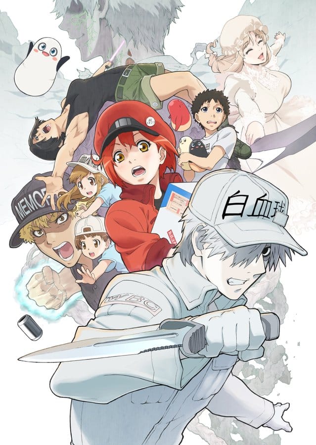 Assistir Hataraku Saibou 2  Todos os Episódios  Online Completo