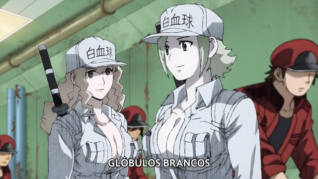 Assistir Hataraku Saibou Black  Episódio 3 - ep