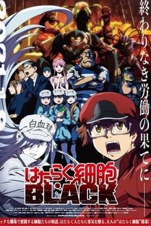 Assistir Hataraku Saibou Black  Todos os Episódios  Online Completo