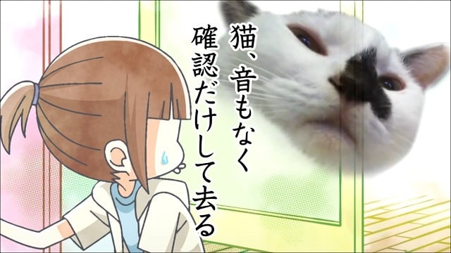 Assistir Inu To Neko Docchi Mo Katteru To Mainichi Tanoshii  Episódio 14 - ep