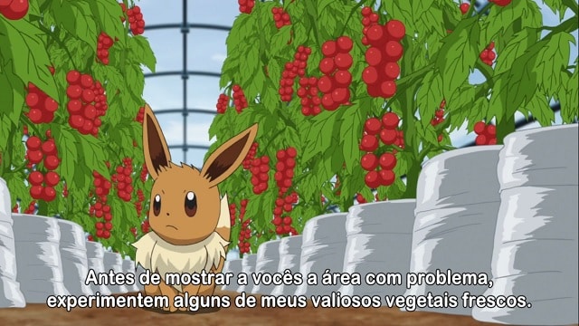 Assistir Pokémon 2019  Episódio 52 - caça ao diglett