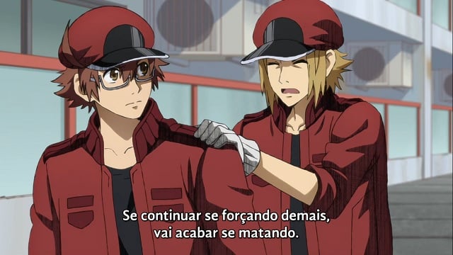 Hataraku Saibou Black, todos os ep, legendado e dublado