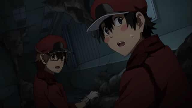 Assistir Hataraku Saibou Black  Episódio 13 - ep