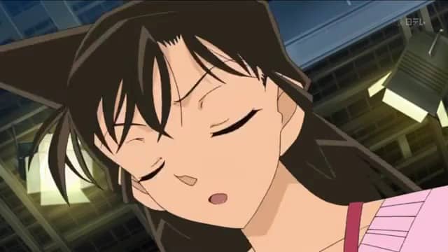 Assistir Detective Conan  Episódio 638 - (Filler) Resolvendo Mistérios no Palácio das Folhas de Outono! (Parte 1)	