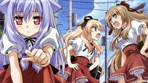 Assistir Mayoi Neko Overrun  Episódio 1 - 